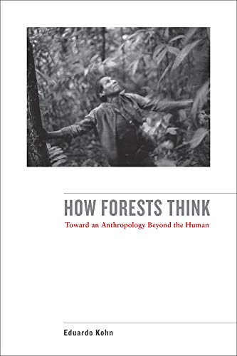 How Forests view 2