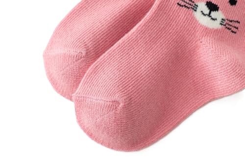 Nemo&Luna Little Cat 5 Pairs 3-5 Years、6-8Years BLoose-top aby Girls Socks4