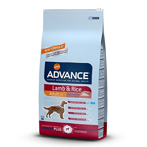 Advance Medium Senior 12 kg