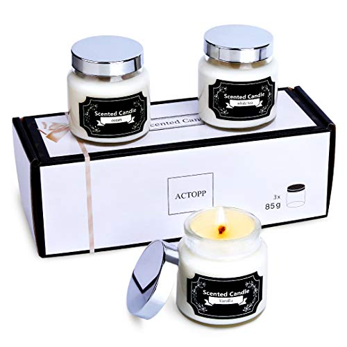 ACTOPP Candle - Vela aromática en Vaso de Cristal, Juego de 3 Velas perfumadas, 100% Cera de Soja, Velas aromáticas