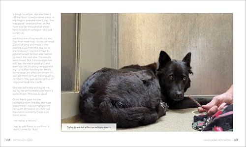 Image of Sitting with Dogs: Stories of Rescue Dogs Going from Lost to Loved