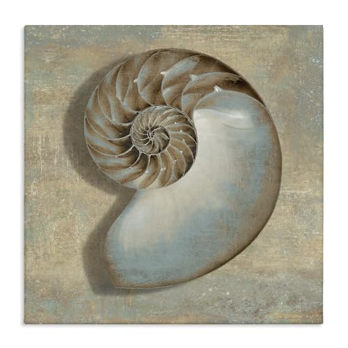 Shell Beach Nautical Seashell, 17 x 17 Inch Canvas Wall Art