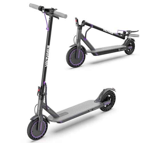 Folding 350W Electric Scooter with App