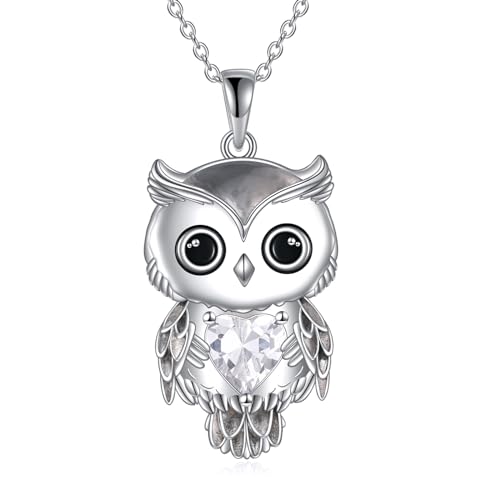 AINFQY Owl Necklace Jewelry Gifts for Women Sterling Silver April Birthstone Cubic Zirconia Owl Pend