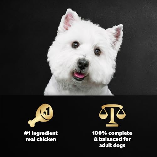 Image of Cesar Wholesome Bowls Wet Dog Food, Chicken Recipe, 3 oz, 10 Count | Real chicken #1 ingredient, slow-cooked, 7 key ingredients, no by-products or artificial flavors, easy to digest