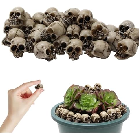 Décorations de crâne Halloween LYNBLY thumbnail