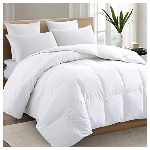 TEXARTIST Premium 2100 Series Queen Comforter All Season Breathable White Comforter Soft 4D Spiral Fiber Quilted Down Alternative Duvet Insert with Corner Tabs Luxury Hotel Style (88"x88")