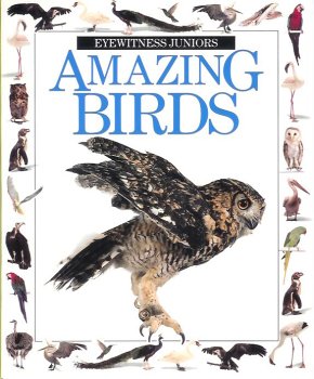 Paperback Amazing Birds (Eyewitness Juniors) Book