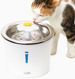 Bonve Pet 3,2L con LED