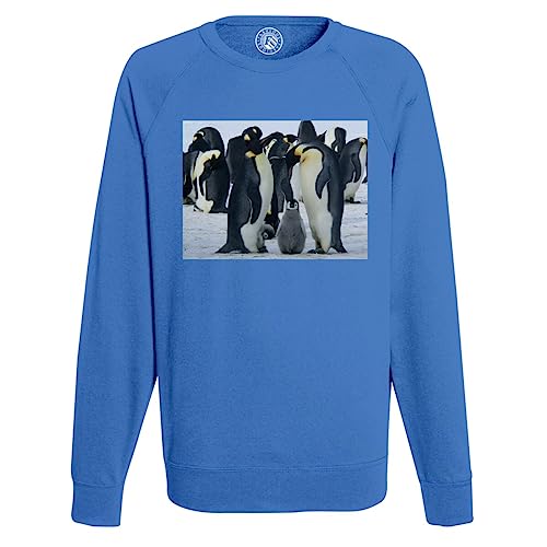 Sweatshirt Homme Pingouins et bébés symbole de tendresse familiale