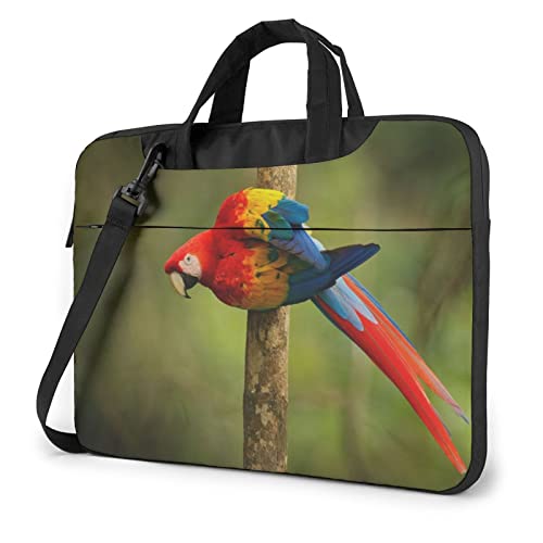 JtȃCR ʐ^ PCP[X m[gp\RobO bvgbv یP[X PCobO Ռz y rWlXobO nhobO u[tP[X 񂰃obO t ΂ߊ|obO 13/14/15.6C`