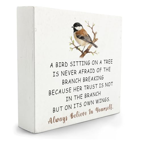 Qvapt Motivational Bird Wooden Box Sign,Gifts for Bird Lovers,Always Believe in Yourself Positive Affirmation Quote Wood Signs for Home Office Desk Tabletop Shelf Decor,5x5 Inch