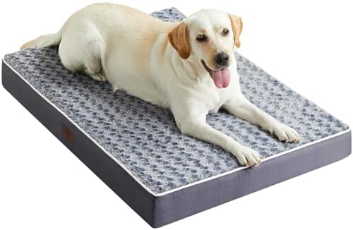 Figopage Dog Beds Large Sized Dog — shown in a real home setting for scale