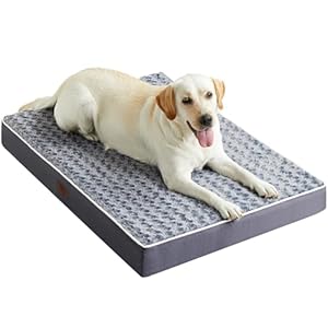 Figopage Dog Beds Large Sized Dog, Orthopedic Memory Foam Dogs Bed with Removable Cover, Washable Pet Mat Non-Slip Bottom, Waterproof Pet Crate Pad, 36×24, Grey