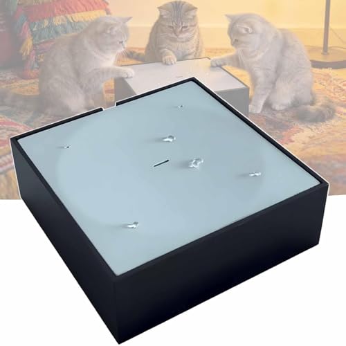 Fuente automática para gato negra