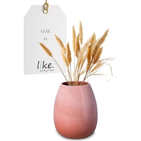 Vase Perlemor by Villeroy & Boch Cover