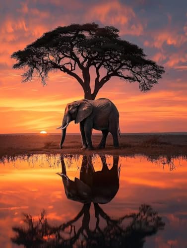 Diamond Painting Adulte 80x110 cm Éléphants - Kit Complet Broderie Diamant 5D Coucher Soleil