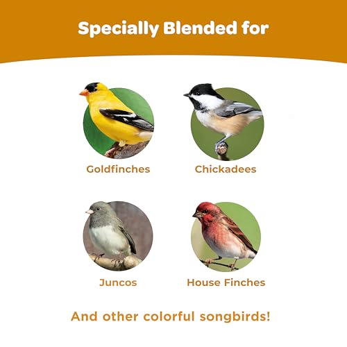 Kaytee Ultimate Wild Finch Blend Wild Bird Food, Attracts Finches & Other Outdoor Wild Birds, 10 Pounds - image 4