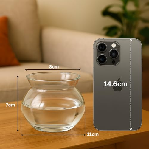 Image of ecofynd Glass Vase for Flowers Plants, Modern Decorative Vase for Home Decor Center Table, Bedroom, Living Room, Office Decoration, Wedding or Gifts (GVASE005)