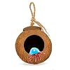 SunGrow Leopard Gecko Coco Hut, Gecko Climbing Accessories, Raw Coconut Shell Reptile Hide, Terrarium Habitat Decor, 2.5 Opening Diameter, with Fiber Loop for Hanging (1-Hole)