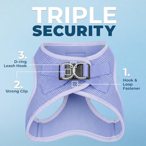 Image of Best Pet Supplies Voyager Step-in Air All Weather Mesh Harness and Reflective Dog 5ft Leash Combo with Neoprene Handle, for Small, Medium and Large Breed Puppies - Lavender, L