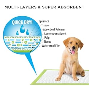 Puppies  Indoor Dogs Training Pads 100 Count  Cucciolini Doodles Puppies  indoor dogs training pads 100 count   cucciolini doodles