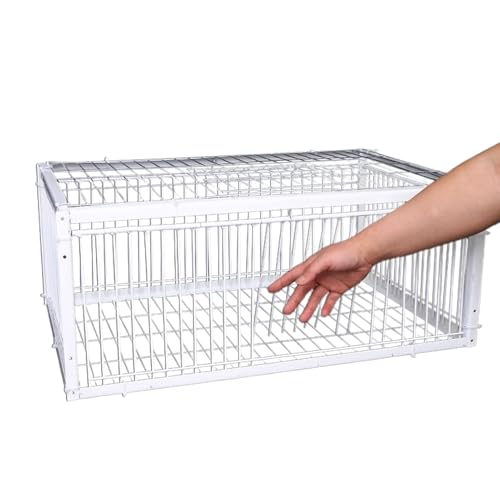 Trappola per uccelli, a prova di, design automatico a 4 porte, struttura in filo di ferro facile da pulire, cattura all'aperto per pappagalli, 40 x 30 x 26 cm
