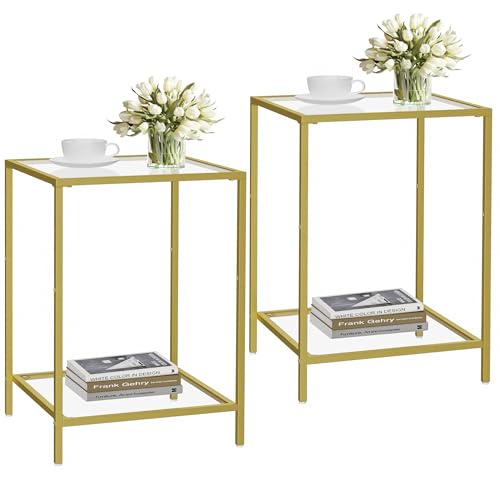 HOMSHO Side Tables Set of 2, End Table with Tempered Glass, 2-Tier Nightstands with Storage Shelves, Coffee Table with Modern Style, Square Sofa Table for Living Room, Bedroom, 15.7