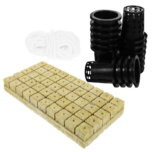 traditore Trascendere carbone vasi per orchidee shop online dollaro Americano ma