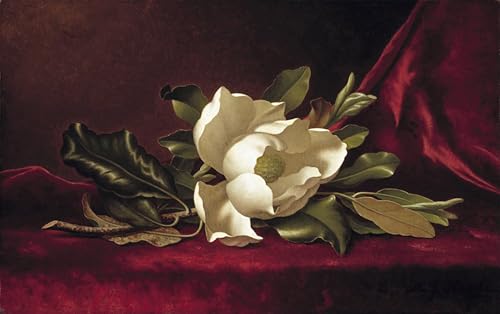 Toile fleur de magnolia Johnson Heade tableau paysage 60x90cm