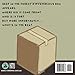 What's in the box?: A children's book about imagination and problem solving