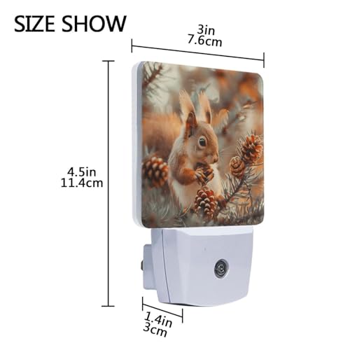 Image of Cute Squirrels Pine Cones Night Lights 2 Pack Plug-in Wall Led Nightlight Auto Dusk-to-Dawn Sensor Lamps for Bedroom Kitchen Bathroom