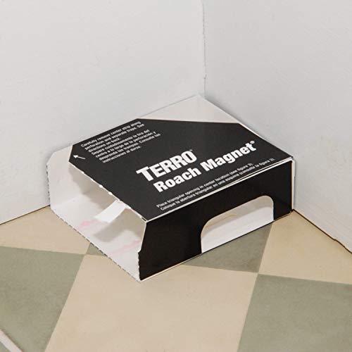 La Mejor comparativa de Trompa para hormigas para comprar hoy. 7 Imagen adicional