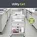 Pearington Rolling Medical and Lab Cart with 3 Shelves & Drawer, Transportable Workstation, Stainless Steel Mobile Storage Cart for Clinic, Salon, and More, 21.22'' L x 17.29'' W