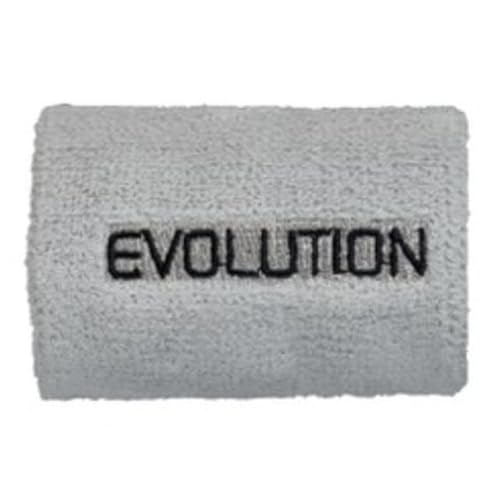TIBHAR (eBo[) 싅 EVOLUTION Xgoh PPJXebJ[t