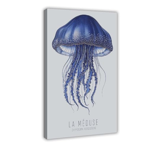 Poster méduse bleue 30x45cm pour illuminer la décoration de votre chambre