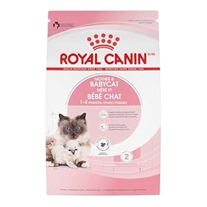 Royal Canin Feline Health Nutrition Mother & Babycat Dry Cat Food for Newborn Kittens and Pregnant or Nursing Cats, 6 lb bag
