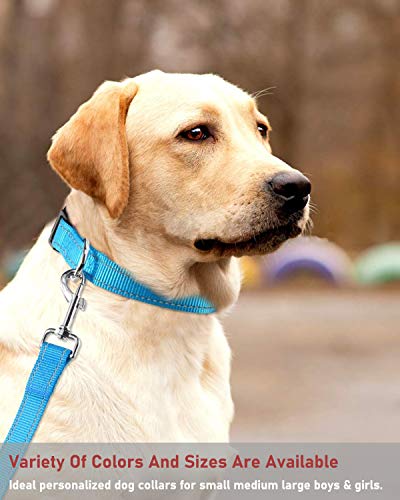 Reflective Dog Collar With Buckle Adjustable Safety Nylon Collars For Small Medium Large Dogs, Blue S #TOP5