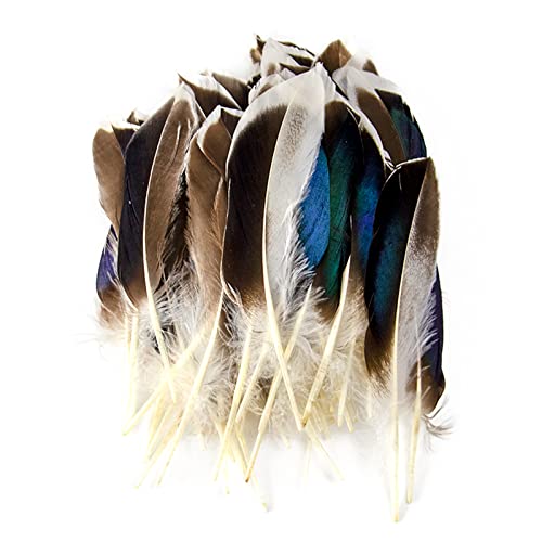 Fearafts 50 natürliche Federn zum Basteln, 10-15 cm, für Karneval, Halloween, Handarbeit, Kleidung, Kostüme, Haare, Hüte, Bastelarbeiten, Zuhause, Hochzeit, Party, Dekoration, Entenfedern Cover