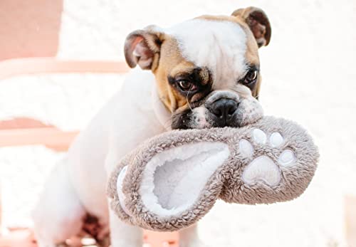 Faceplant Dreams I Sleep with Dogs Footsies4