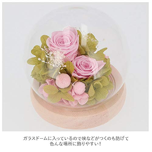 スフィアガラスドーム プリザーブドフラワー ガラスドーム