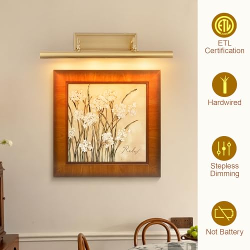 Image of BELS Picture Light for Wall, 30 Inch Gold Wall Light Hardwire, 270 Rotatable, E12 Base, Dimmable 4-Light Picture Frame Lights for Painting, Living Room, Bedroom(Exclude Bulb)