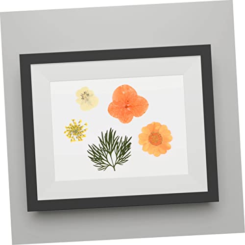 Flores secas elegantes para decoración y manualidades miniatura 6
