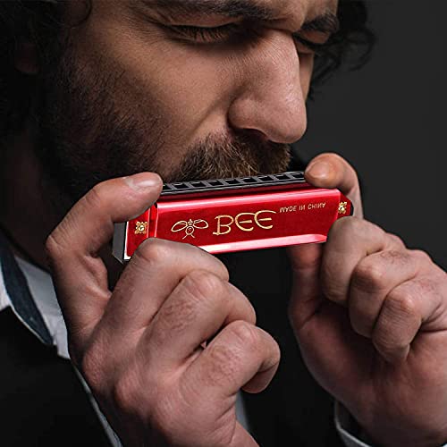 Harmonica pour Enfants, 2 Pièces Harmonica Diatonique, Harmonica Blues Diatonique, Harmonica en Do, Harpe Diatonique… - Les Beatles, Paul McCartney, John Lennon, RIngo Starr, George Harrison Harmonica pour Enfants, 2 Pièces Harmonica Diatonique, Harmonica Blues Diatonique, Harmonica en Do, Harpe Diatonique… – Image 8