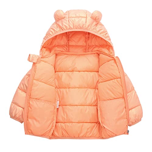 Toddler Baby Boys Girls Hooded Puffer Jacket Winter Warm Outerwear Dinosaur Bear Ears Coats Hooded Winter Clothes3