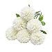 Produktbild Tifuly Künstliche Hortensie Blumen, 11 Zoll Seide Pompon Chrysantheme Kugel Blumen für Hausgarten Party Büro Dekoration, Braut Hochzeitssträuße, Blumenschmuck, Mittelstücke(6 Stück, Weiß)