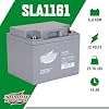 Interstate Batteries 12V 44Ah Battery (Insert Terminal) SLA AGM VRLA Rechargeable Replacement for UPS Backup Power, Fire & Security, Emergency Lighting (SLA1161)