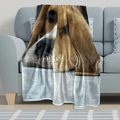 Couverture en peluche Beagle microfibre haut de gamme - 6