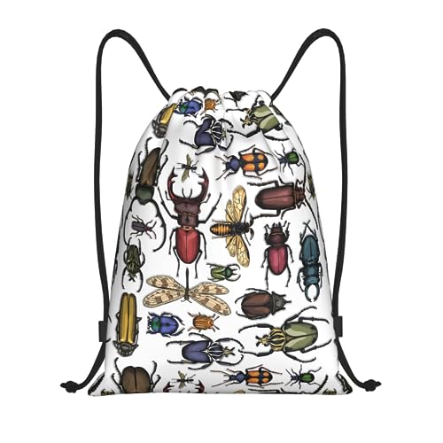 [MUZIZY] g[jOobO WTbN bN ibvTbN JugV   y V[Y[ obO Lv s ^ obO @\ ܂ [obN ̑ C sObY jp M