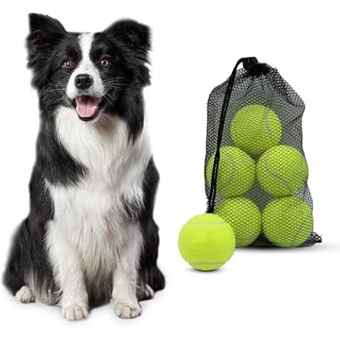 MEKAPLE Pet Tennis Balls for Dogs Exercise and Training Interactive Dog Toys Balls 2.5" Yellow 6 Pack with Mesh Bag Cover